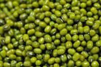 Sell mung bean