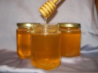 100% Pure Organic Bee Honey