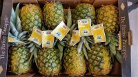 Fresh sweet MD2 pineapples for sale