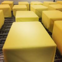 Unsalted and salted yellow butter for bakeries and snacks