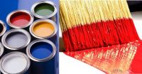 Paint (Oil Paint And Water Paint) bulk supply