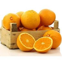Sweet Juicy Valencia / Navel Oranges whole sale prices