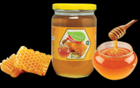 Pure Organic Bee Honey for sale wholesale price