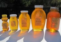 Cheap whole sale Pure Organic Bee Honey for sale