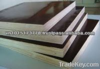 Sell STANDARD FILM FACED PLYWOOD FOR CONSTRUCTION