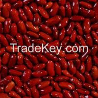 RED KIDNEY BEANS OF VARIOUS SIZES