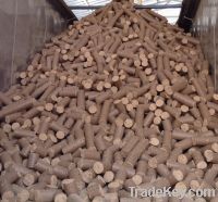 Wood Briquettes