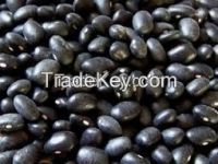 Large Black Speckled Kidney Beans------new crop