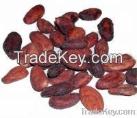 Cocoa Beans And Peas In Stock