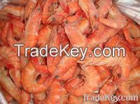 Frozen Red Shrimps For Sell