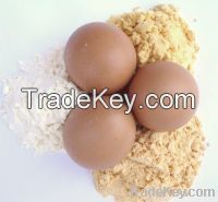 Whole And Egg Yolk Powder For Sell