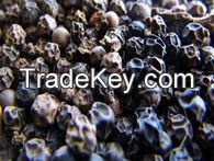 Sell Offer Black Pepper 50% Discount