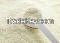 Sell Offer Skimmed Milk Powder 50% Discount