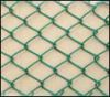 produce and export all kinds of wire mesh,wire cloth,wire netting