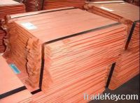 Sell Copper cathode