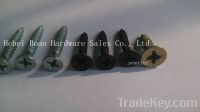 Sell High Quality Self-Tapping Screw with Best Price
