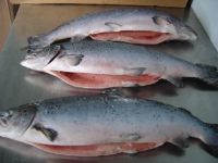 atlantic salmon from chile, convenient prices and very good quality