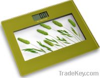 beautiful picture high accuracy bathroom scale weight scale BS1202