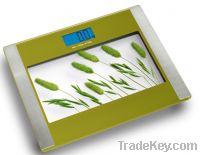 beautiful picture printing digital bath scales body fat scale BF1201