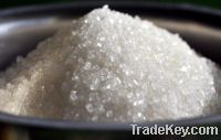 Sell Sugar From Green Bengal Group of Companies