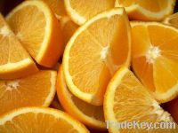 Sell Fresh Valencia orange