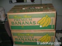 Sell  Fresh Green Banana export standard
