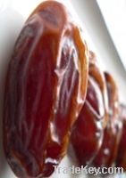 Sell Fresh Medjool Dates