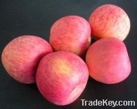 Sell fuji apple fruit