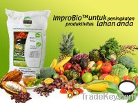 Organic Fertilizer Supplier/manufacture