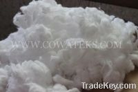 Bleached Absorbent Comber noil