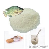 Sell 100% hydrolyzed fish collagen food grade
