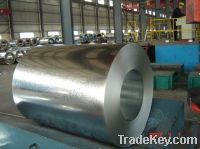 Sell Hot DIP Prepainted Galvanized SteelCoil