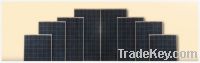 Solar Modules