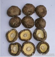 Sell Chinese Dried Mushroom
