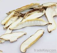 Sell Dried Mushroom Slices