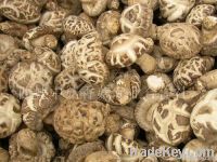 Sell Dried Flower Mushroom