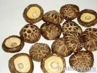 Sell Chinese Dried Mushroom