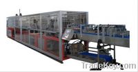 Continous Tray Packer