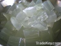 Sell Frozen Aloe vera