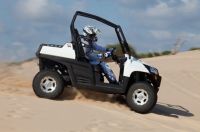 Sell Dune Buggy/Go Cart/Kart/UTV