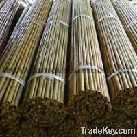 Bamboo pole large