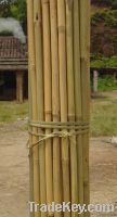 Bamboo poles cheap