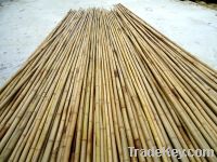 bamboo pole high quality from Vietnam