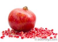 Sell Pomegranate Hull Botanical Extract