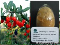 Sell Wolfberry fruit extract