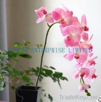 sell long stem high copy plastic butterfly orchid 11pcs
