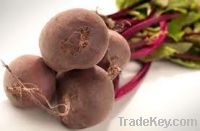 Sell Fresh Beetroots