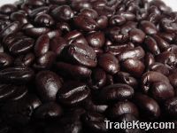 Export Coffee Beans | Arabica Coffee Beans Suppliers | Robusta Coffee Beans Exporters | Coffee Bean Traders | Wholesale Coffee Beans | Buy Coffee Beans | Bulk Coffee Bean | Green Coffee Bean Buyer | Low Price Roasted Coffee Bean | Import Coffee Bean | Cof