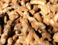 Dry Ginger Of Spices Product