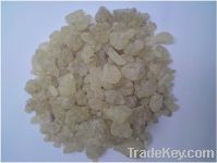 Gum Copal